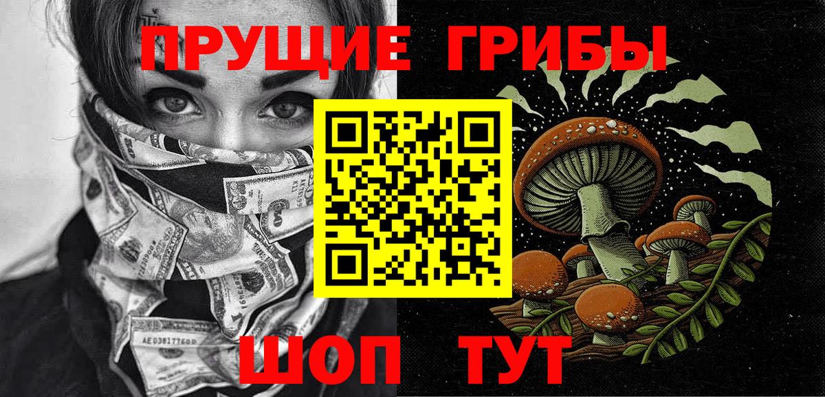 где купить наркоту  Вход с VPN  Шахты  Галлюциногенные грибы Cubensis  Галлюциногенные грибы MAGIC MUSHROOMS 