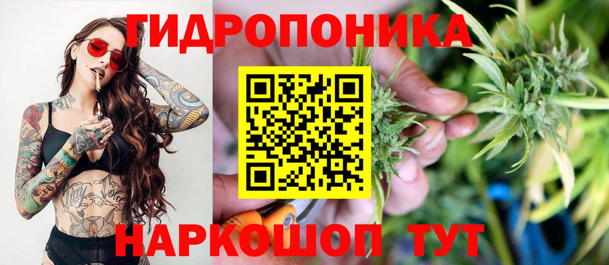 МАРИХУАНА SATIVA & INDICA Шахты